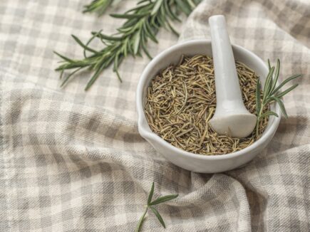 L&rsquo;armoise aux dragons ou estragon